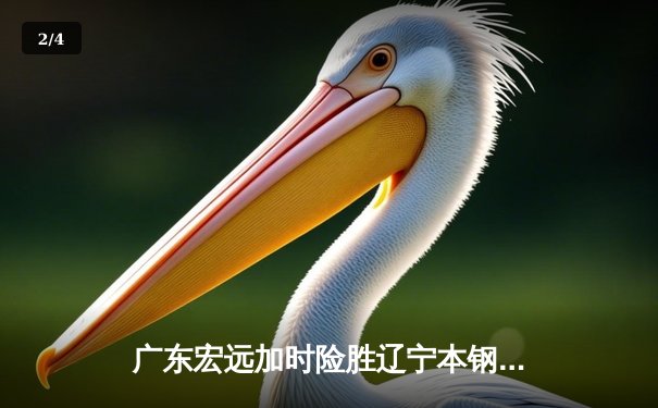 广东宏远加时险胜辽宁本钢，赵睿关键三分锁定胜局 - 2