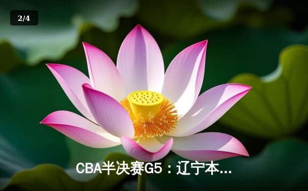 CBA半决赛G5：辽宁本钢加时逆转广东宏远 赵继伟37分创生涯新高 - 2